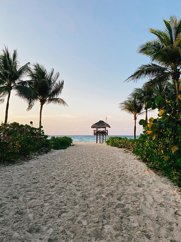 Lifeguard watchtower between palms, Playacar Beach, Quintana Roo, sunset, Mexico. High quality photo