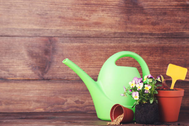 istock Watering can with flowers on wooden table 2148031428