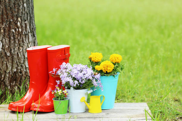 istock Red rubber boots with flowers on wooden board 2148032004