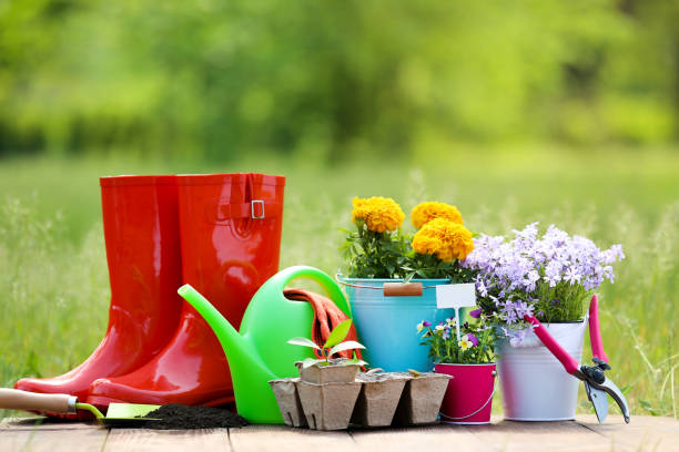 istock Garden tools with rubber boots and flowers on wooden board 2148032287