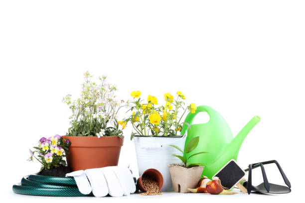 istock Garden tools with flowers on white background 2148032512