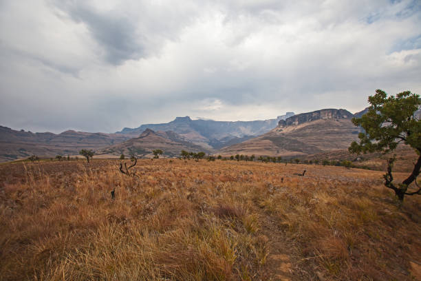 Mountain landscape on a hiking trail in the Royal Natal National Park in the Drakensberg South Africa