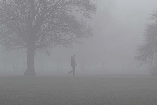 Morning walk in a densely foggy park in North London
