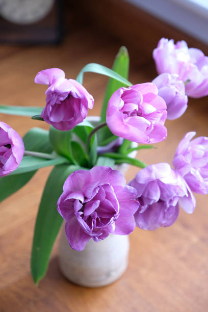 Beautiful Purple Peony Tulip flowers in a handmade pottery vase