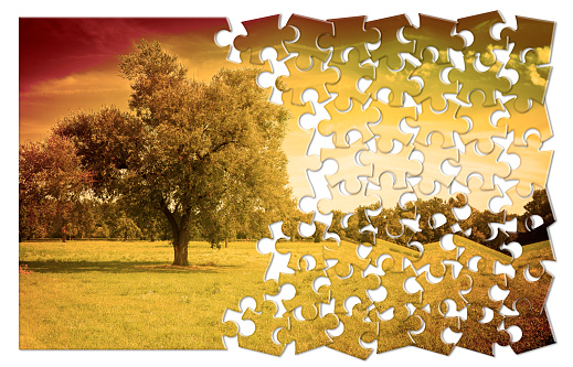 Isolated tree in a tuscany rural scene (Italy) -environmental conservation concept image in jigsaw puzzle shape.