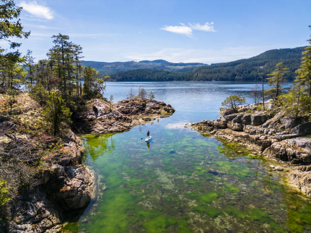 Aerial view of woman paddle boarding on ocean Aerial view of woman paddle boarding on ocean with mountains and forest pacific northwest region stock pictures, royalty-free photos & images