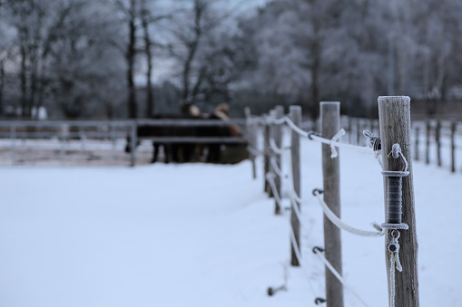 Background image of a horse farm in winter in northern Germany