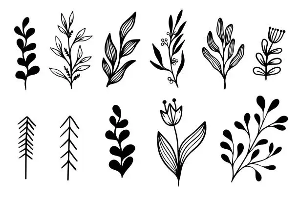 Vector illustration of Modern black Doodle botanical flowers