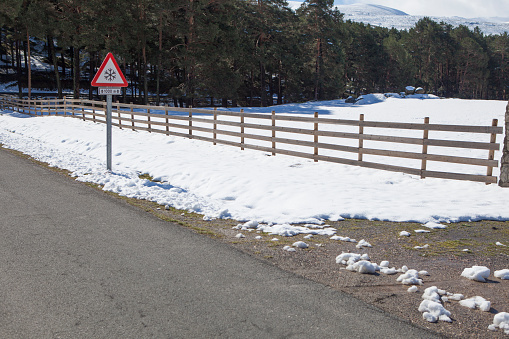 Snow road sign on a local mountain road. Pine forest overview