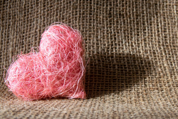 A heart shaped cactus plant in pot
