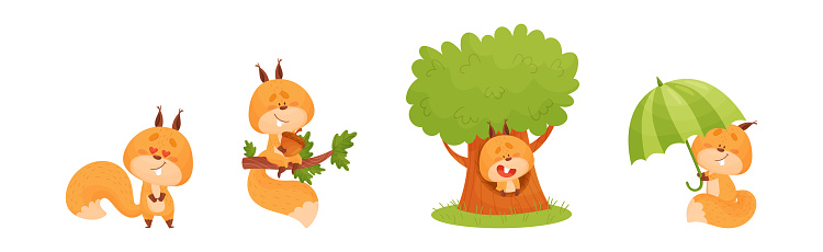 Cute Squirrel Character with Bushy Tail Engaged in Different Activity Vector Set. Funny Forest Animal with Pretty Snout