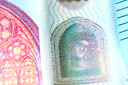 Fragment of a twenty euro banknote close-up with the portrait hologram.