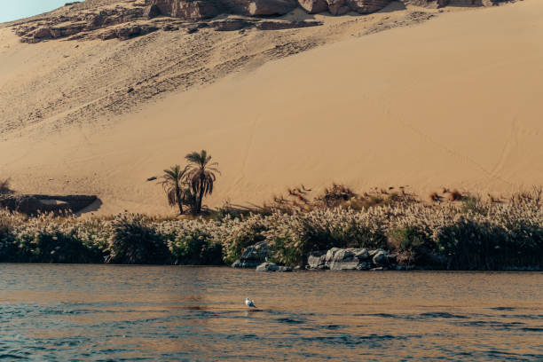 istock Adventure Travel Egypt Nile Cruise 2148049052