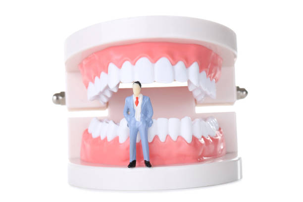 Tooth funny toy denture red color jaw and eye on white background with copy space.