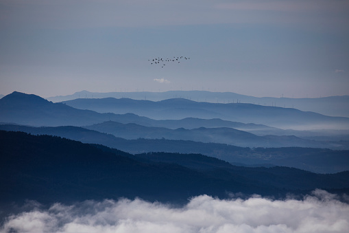 A flock of birds flies over the mountains of Caldas and A Estrada on a foggy day. View from Mount Xiabre. Mountain succession.