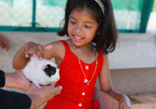 A close-up portrait of a young girl at a petting zoo, her eyes sparkling with fascination as she gently cradles a fluffy guinea pig