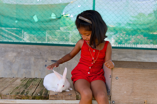 A charming image of a young girl spending a delightful afternoon in her backyard, playing with a fluffy white rabbit