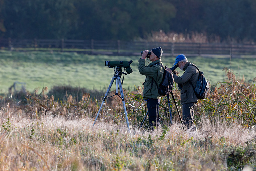 Netherlands, South Holland, Zevenhoven, Groene Jonker, October 19th 2022, side view close-up of two adult caucasian men wearing camouflage clothing and a backpack occupated with bird watching in a nature reserve area, using telesopes on tripods and binoculars on a sunny autumn morning