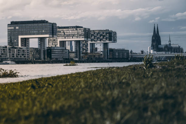 Cologne photographed from the Poller Wiesen