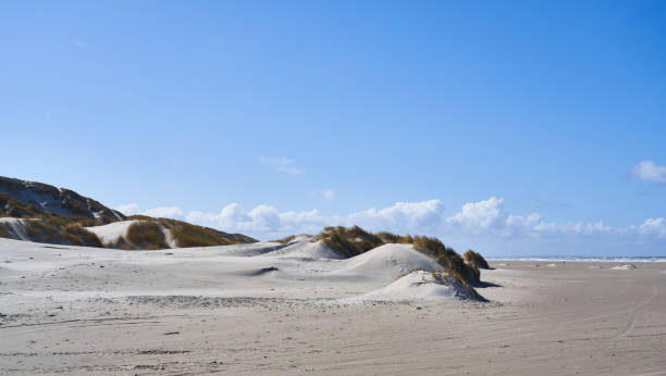 Scenic tranquil view of sand dune landscape with marram grass at beach against blue sky during sunny day at Denmark