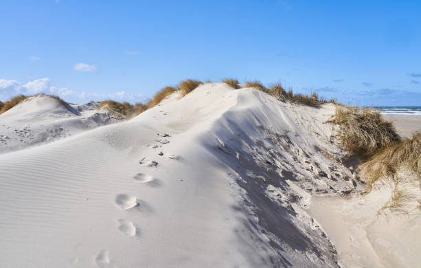 Idyllic view of hilly sand dunes with marram grass at beach landscape against blue sky during sunny day at Denmark