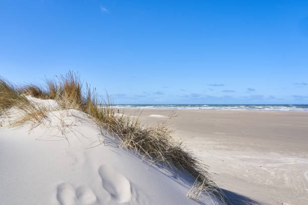 Scenic view of hill with sand dunes and marram grass at idyllic beach with sea in background under blue sky during summer at Denmark