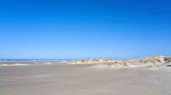 Idyllic view of beach landscape with sand dunes and meadow against clear blue sky during summer season at Denmark