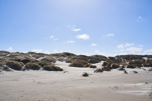 Scenic view of dramatic landscape with sand dunes and marram grass at beach against blue sky during summer season at Denmark