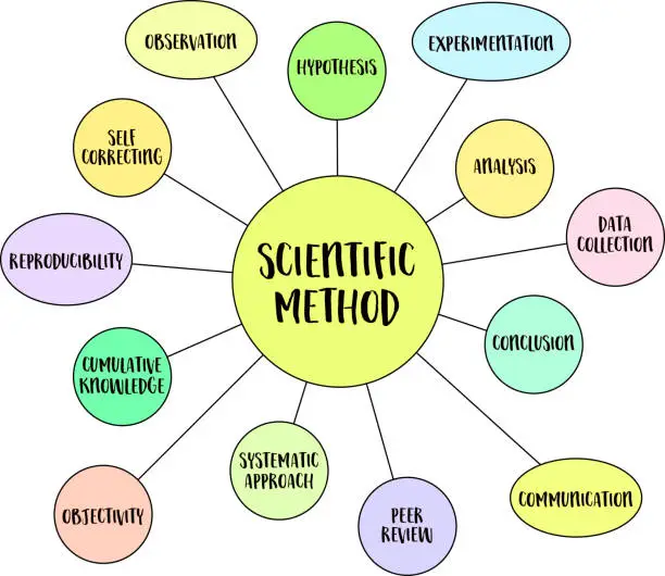 Vector illustration of scientific method infographics or mind map vector sketch, science and research concept