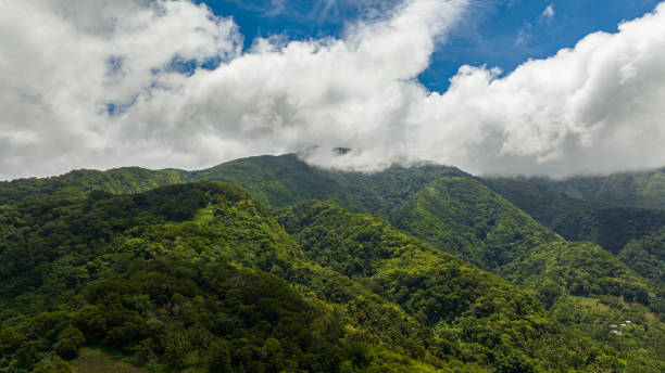 istock Top view of Mountain slopes covered with rainforest. 2148060832