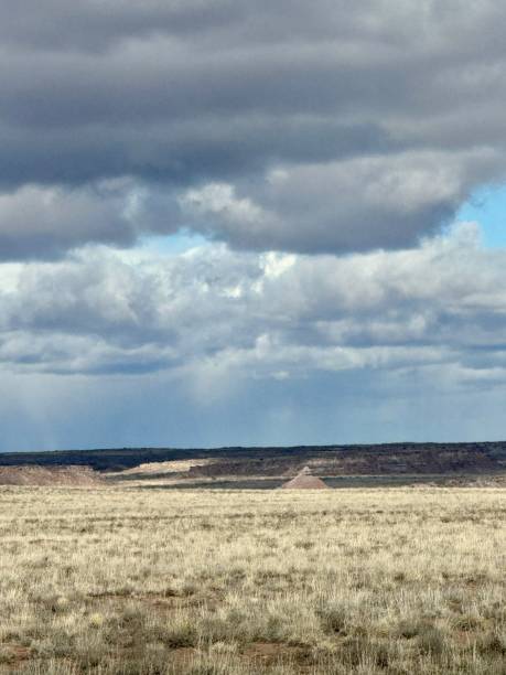 istock Petrified Forest National Park 2148061388