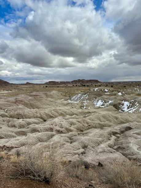 istock Petrified Forest National Park 2148061512