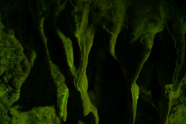 Journey through a vibrant cave adorned with colorful walls, stalactites, and stalagmites, revealing the underground beauty of nature's geological wonders.
