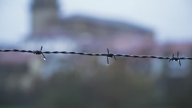 Focus on a barbed wire fence with a blurred farm background on a rainy morning.
