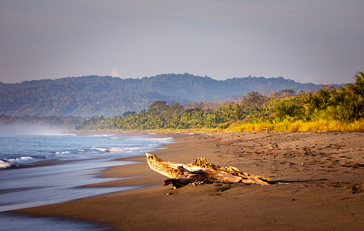 Empty tropical beach at sunrise - Osa Peninsula, Costa Rica