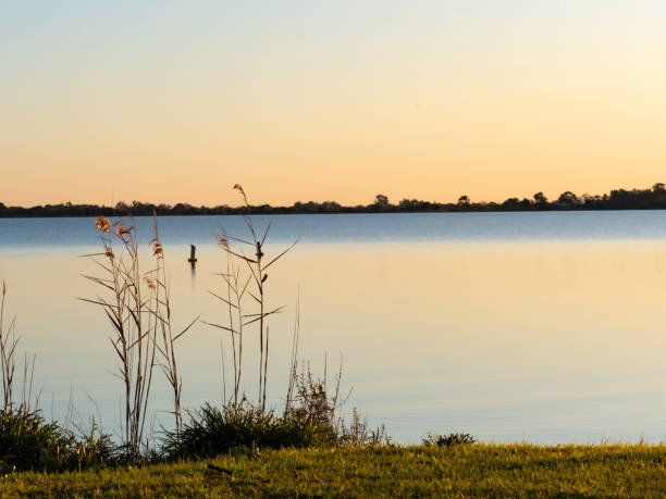 istock Reeds in silhouette next to lake 2148067742