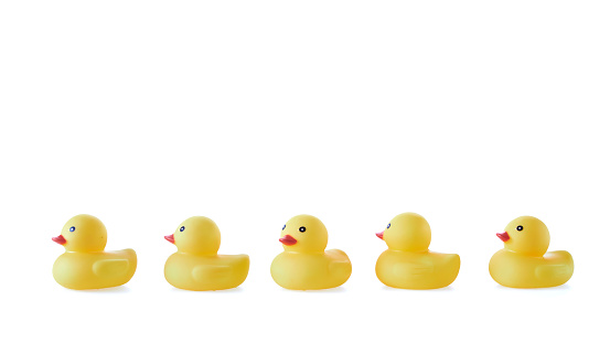 Five yellow rubber toy ducks isolated on a white background