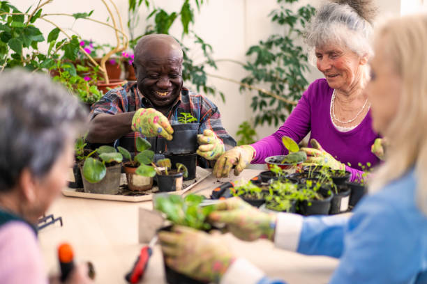 istock Elderly gardeners looking after the houseplants 2148073199