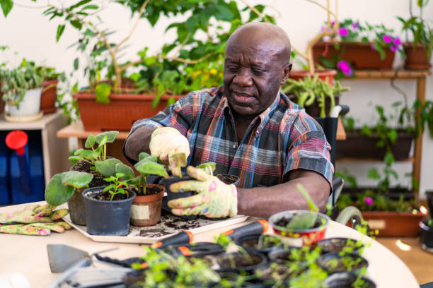 istock Happy senior man caring for the plants 2148073201