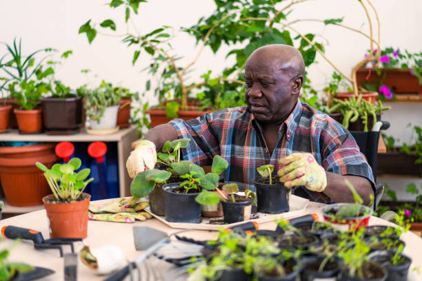 istock A senior man caring for some potted plants 2148073207