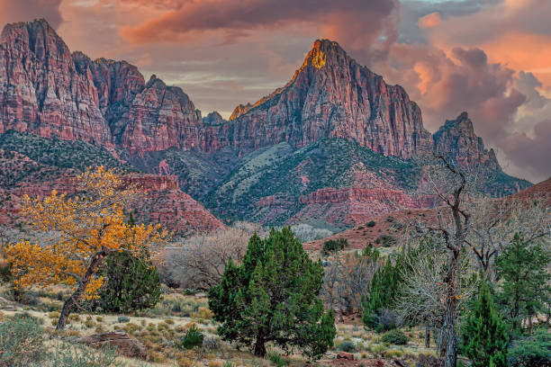istock Zion National Park 2148073602