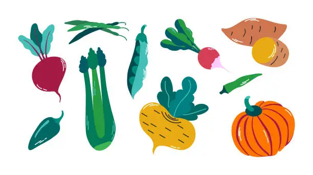 Vector illustration of Vector set of vegetables, vegetarian food, healthy and fresh icon clipart illustration