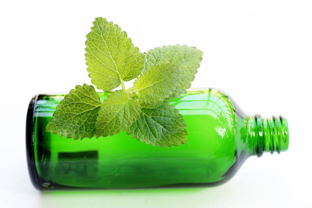 istock Lemon balm fresh leaves with essential oil bottle 2148074462