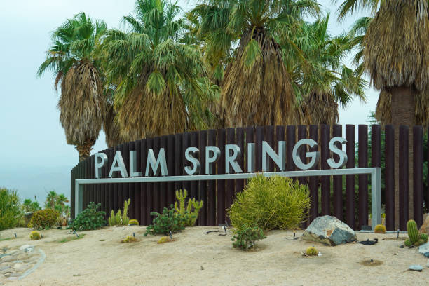 istock Palm Springs sign with palm trees 2148075563
