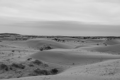 The Badain Jaran Desert is a desert in China which spans the provinces of Gansu, Ningxia and Inner Mongolia. By size it is the third largest desert in China, black and white