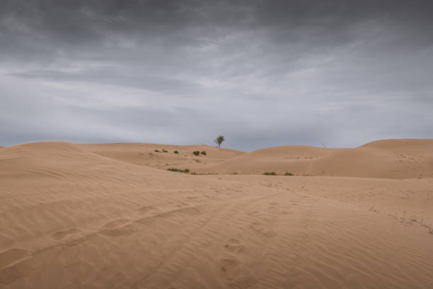 Close up background on the desert sand in Inner Mongolia, China. Golden sand wallpaper with copy space for text