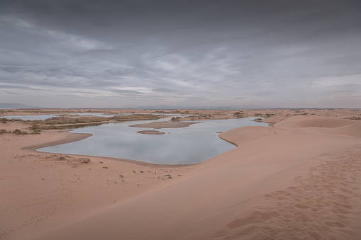 Gobi Desert of Inner Mongolia around Wuhai, China. Desert with the lake, dramatic sky with copy space for text
