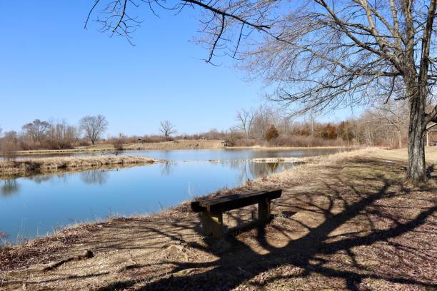 istock Bench at the Lake 2148078674