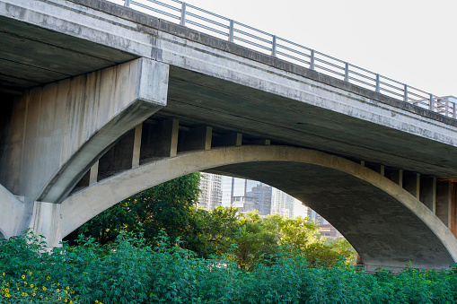 South Congress Avenue bat bridge in Austin, Texas