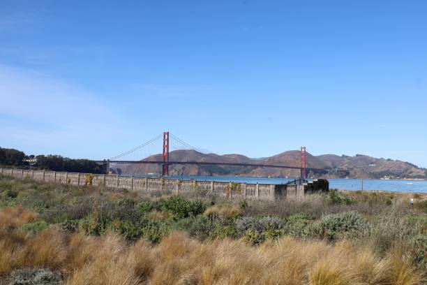 мост золотые ворота и крисси фирлдс на вершине тоннеля пресидио, сан-франциско, калифорния, америка - chrissy стоковые фото и изображения